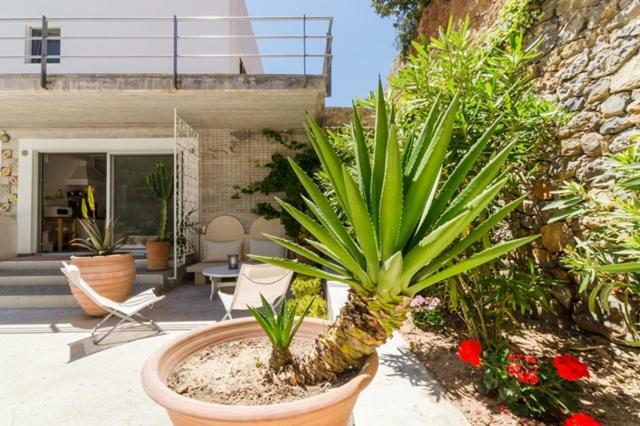 לרפטרה Crete Retreat - Nature & Comfort Await מראה חיצוני תמונה