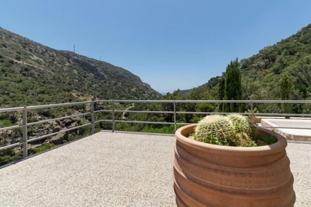 לרפטרה Crete Retreat - Nature & Comfort Await מראה חיצוני תמונה